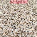 西安黄金麻中黄荔枝面