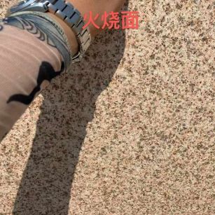 西安黄金麻火烧面