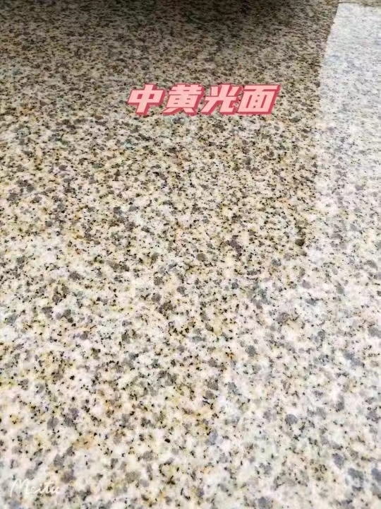 西安黄金麻中黄光面